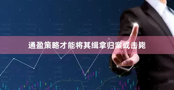 通盈策略才能将其缉拿归案或击毙