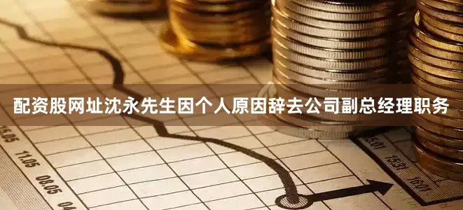 配资股网址沈永先生因个人原因辞去公司副总经理职务