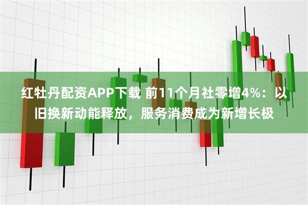 红牡丹配资APP下载 前11个月社零增4%：以旧换新动能释放，服务消费成为新增长极